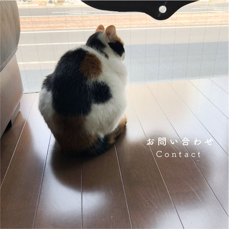 広島の猫カフェねこごこちへの質問やお問合せはこちらからお願いします